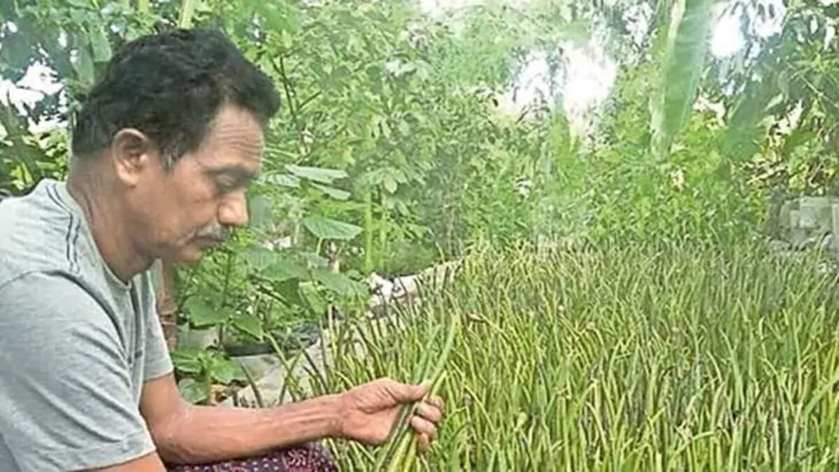 Unsung Hero: Farmer Turns Environmentalist to Save Mangroves