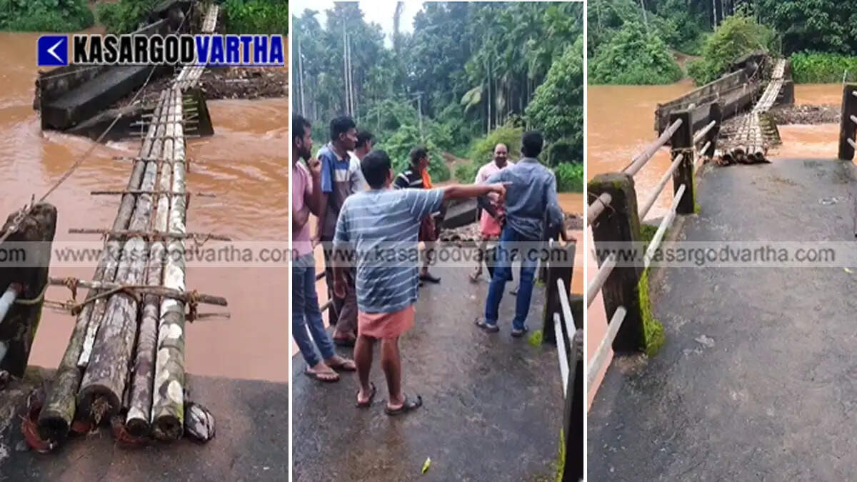 Conceptual image of a makeshift bridge over a river in Kerala