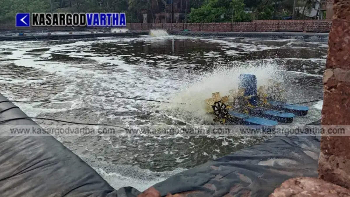  An inland fish farming pond in Kasaragod highlighting aquaculture efforts.