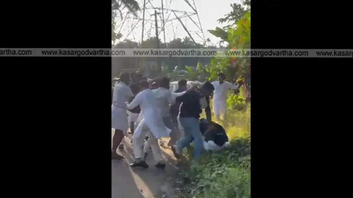 Debunking the Viral Kasaragod Wedding Brawl Hoax