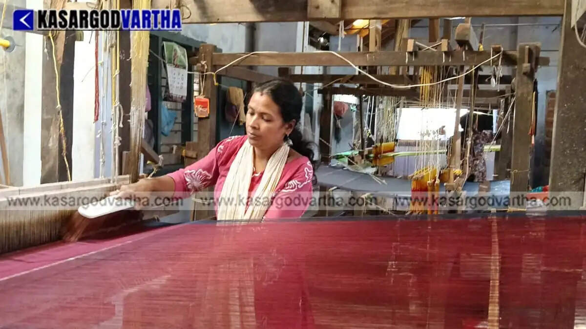Kasaragod Saree heritage at risk: Roof collapse exposes valuable teak wood looms to rain and sun
