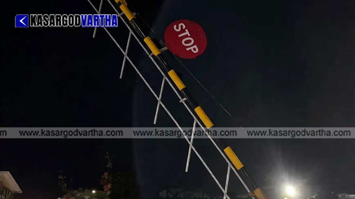  Image representation of a railway level crossing