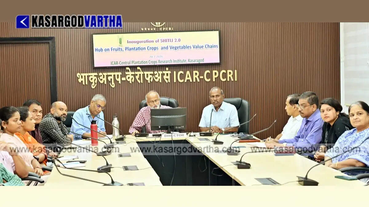 Conceptual image representing startup incubation at CPCRI Kasaragod