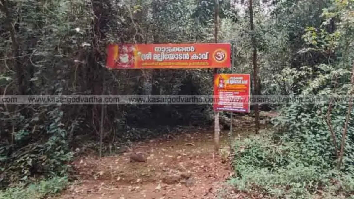 Ancient Rituals Face Modern Challenge in Kerala