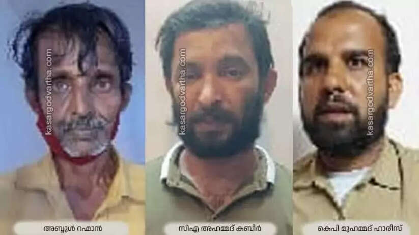 Three Accused Sentenced to 10 Years Rigorous Imprisonment and Fine in Kasaragod 22.5 KG Ganja Smuggling Case