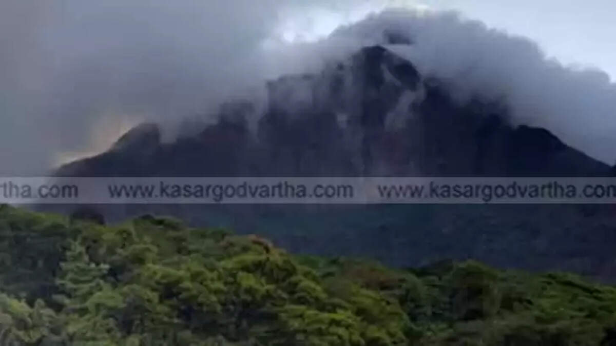 Three Forest Officials Missing in Bonacaud Interior Forest Found Safe