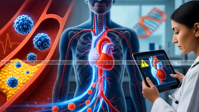  Microplastic particles inside human arterial plaque