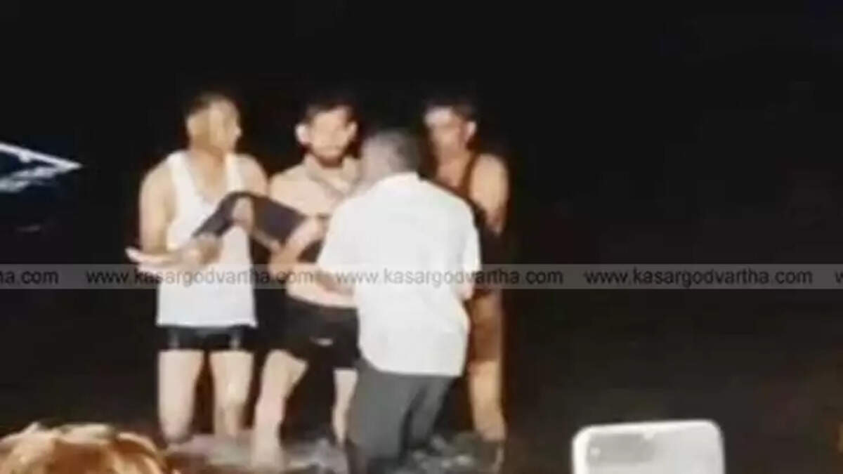 Tragedy During Vijayadashami Celebrations: Tractor Trolley Overturns into River in Madhya Pradesh, Died 11