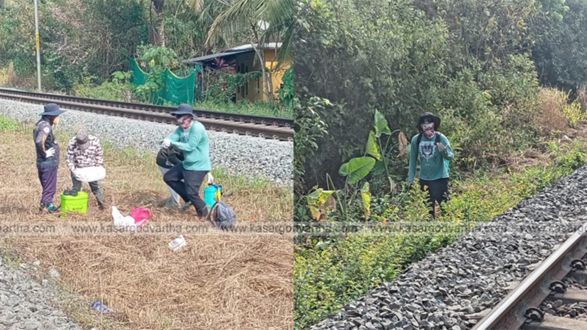 View of a railway track with dried grass alongside.
