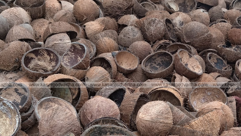 Pile of coconut shells for sale