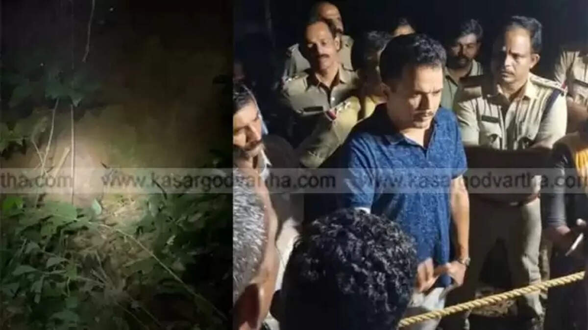 Leopard Escapes After Failed Tranquilizer Attempt in Kasaragod Tunnel
