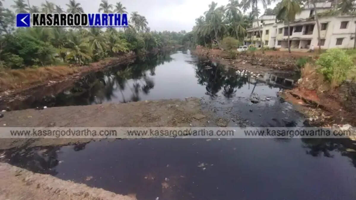 Stagnant, dark black contaminated water filled with waste inside the Kalmadi river stretch near Pallam bridge.