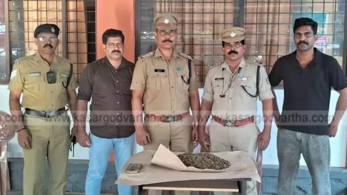  Police Seize 715 Grams of Ganja from Bhavnagar-Kochuveli Express in Kasaragod