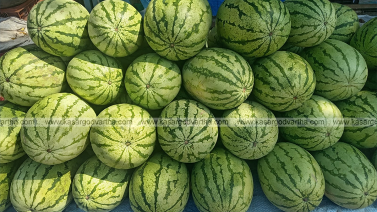 Watermelons stacked in a Kerala fruit market during summer