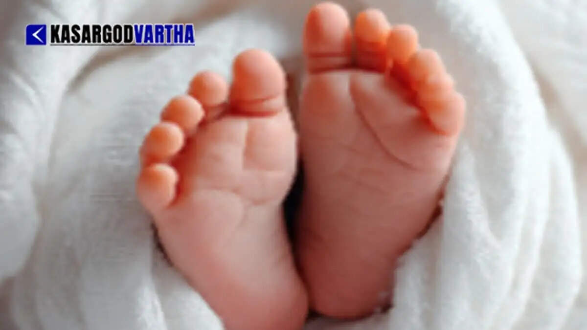 Image Representing Newborn baby found abandoned near Forum Mall in Kochi; transferred to 'Ammathottil'