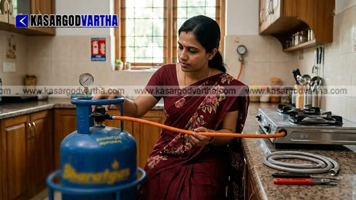 Safety instructions for household LPG gas cylinders.