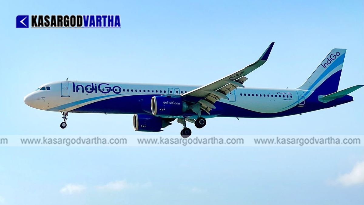IndiGo airplane on the runway