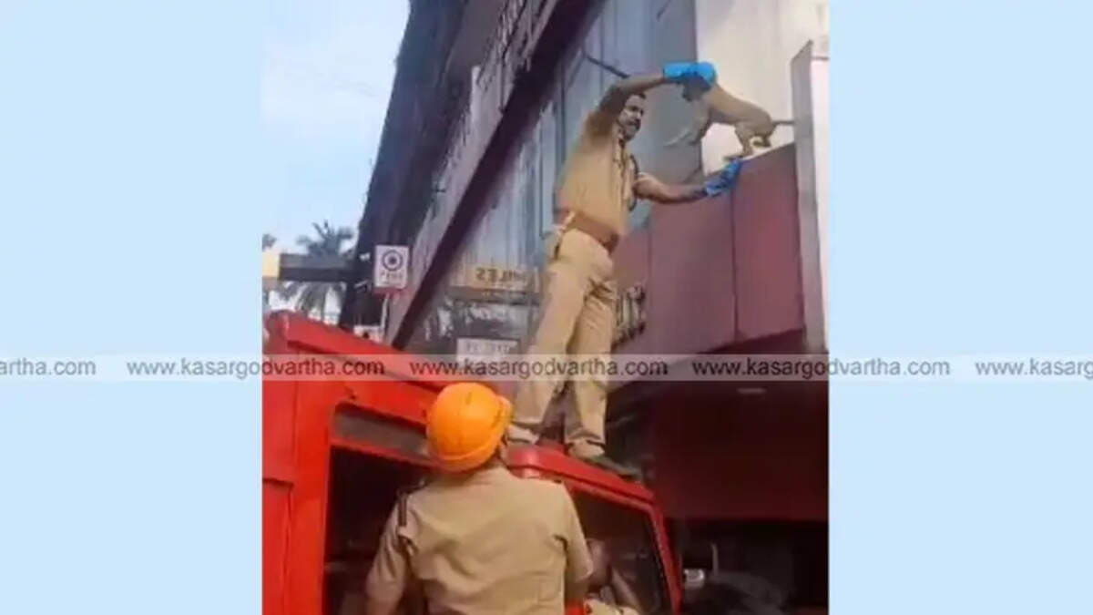 A firefighter lowers a puppy trapped in a building in Kasaragod.