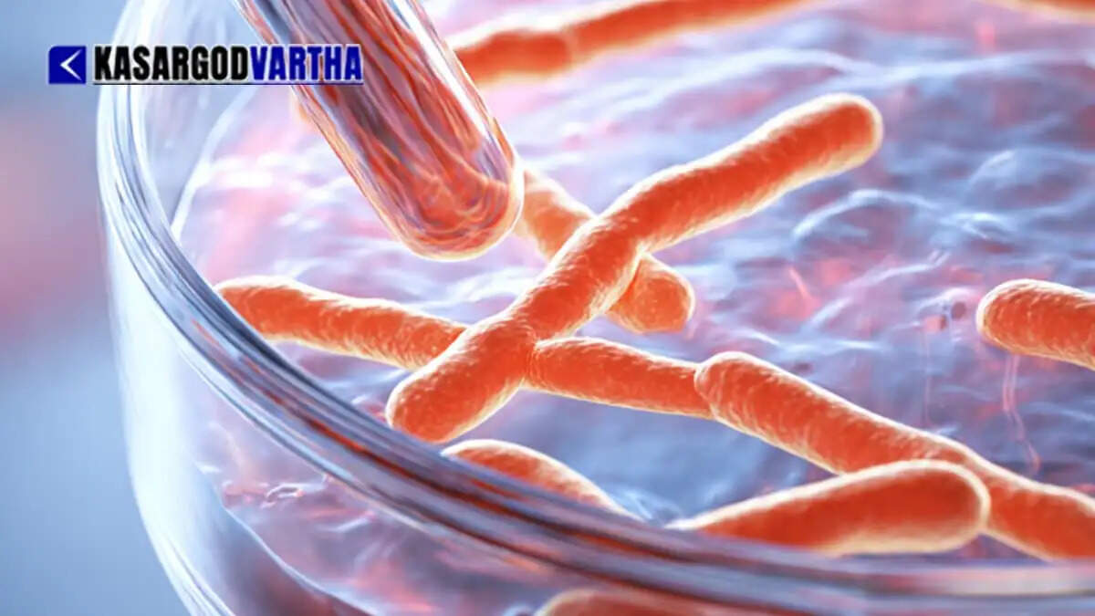 Image Representing Shigella confirmed in Kollam; 2 students under treatment at Parippally Medical College.