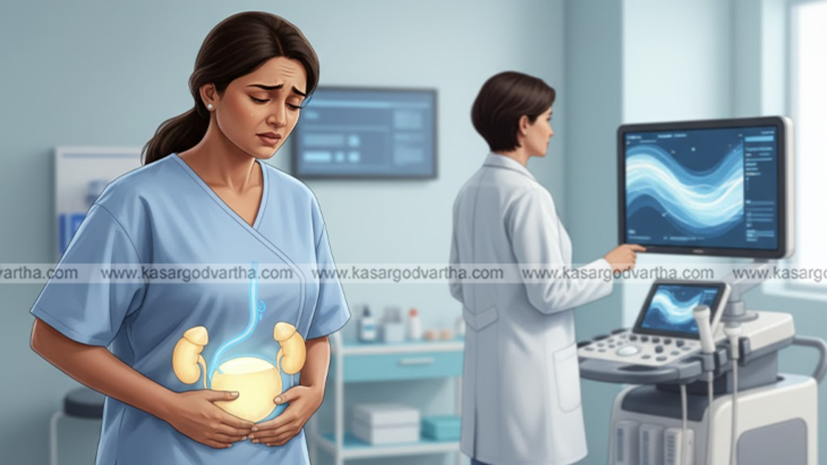 Diagram showing a blocked urinary tract system.