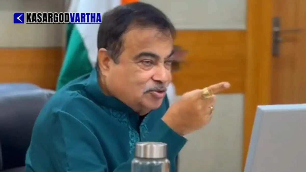 Nitin Gadkari dismisses E20 petrol mileage drop claims as paid campaign, challenges critics