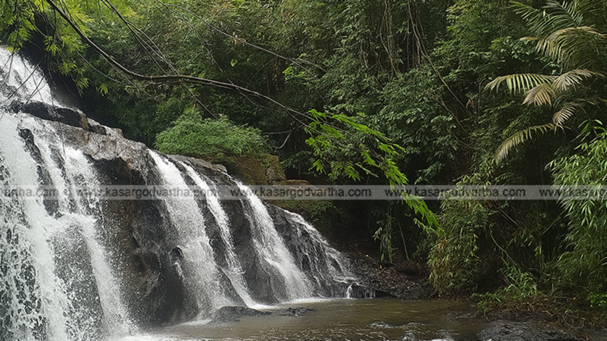 Manoori Chal waterfall in Nileshwaram, Kasaragod, with lush green surroundings.