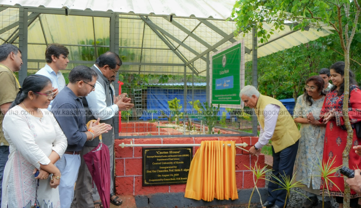 Cactus collection at Central University of Kerala botanical garden.