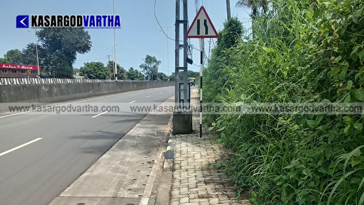 Representational image of overgrown weeds on footpaths along the National Highway in Uppala