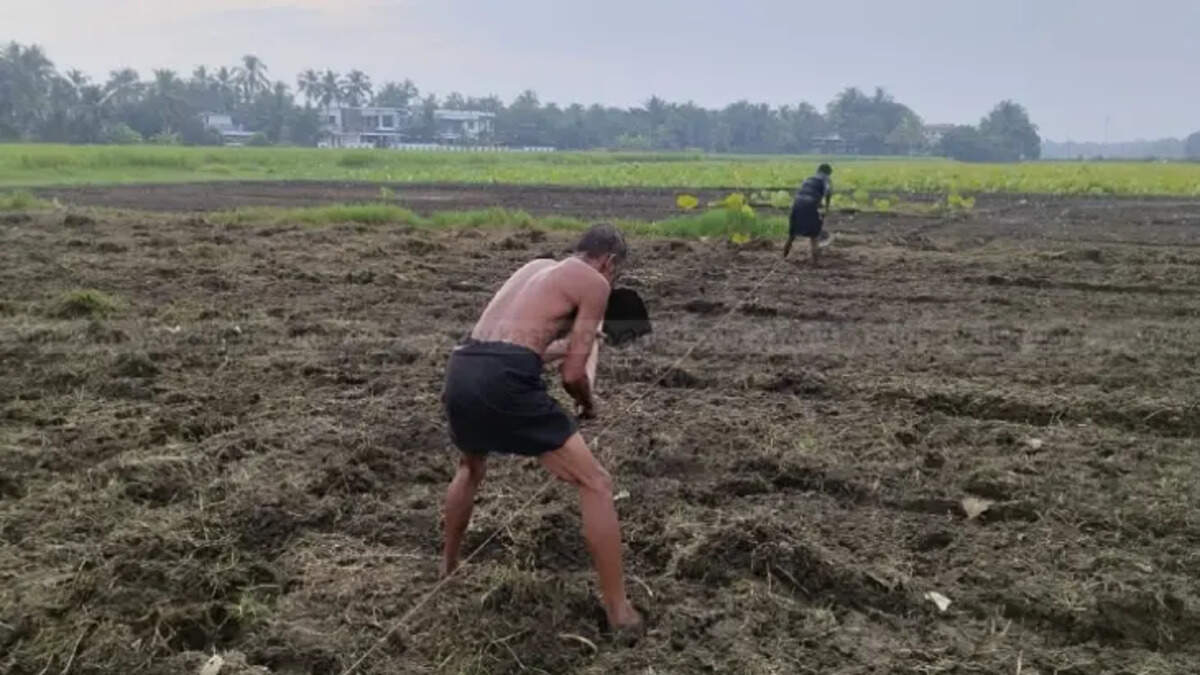 cpms organic farming initiative for party conference