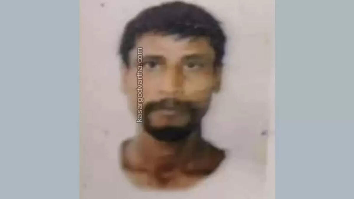Assam Native Dies in Tragic Accident While Unloading Timber from Lorry in Badiyadukka