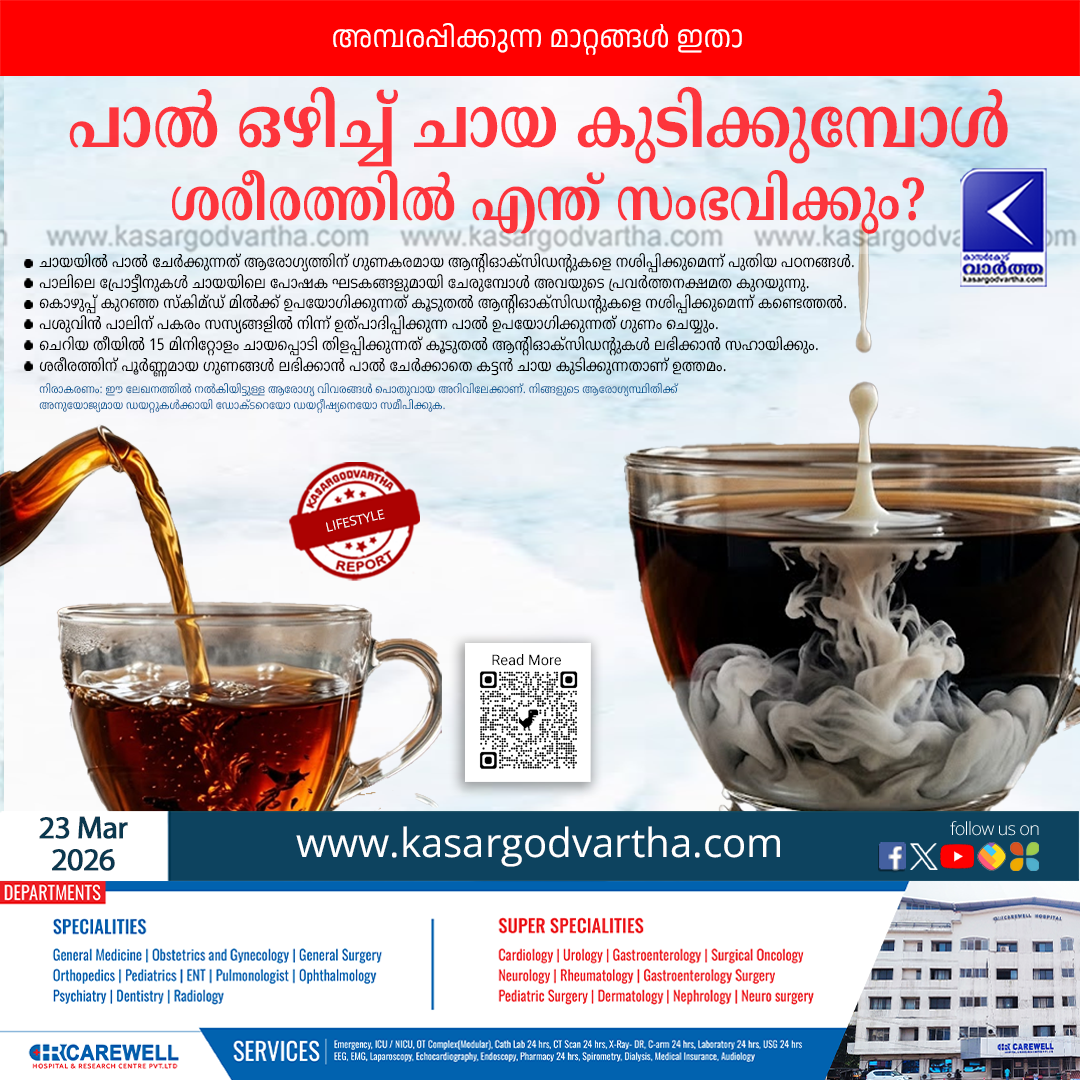 effect of milk on tea antioxidants health 2026