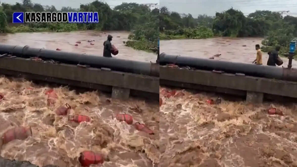 Viral video: Locals risk lives to catch 3,000 LPG cylinders floating in flooded Patalganga river in Raigad