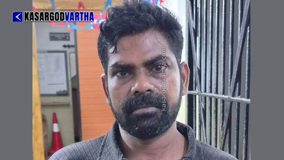 Man accused in Kottappuram temple theft arrested; accused has history of 8 theft and 4 POCSO cases