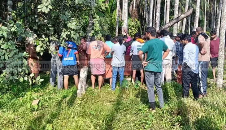 Farmer Dies Due to Electrocution from Fallen Electric Line in Kanhangad