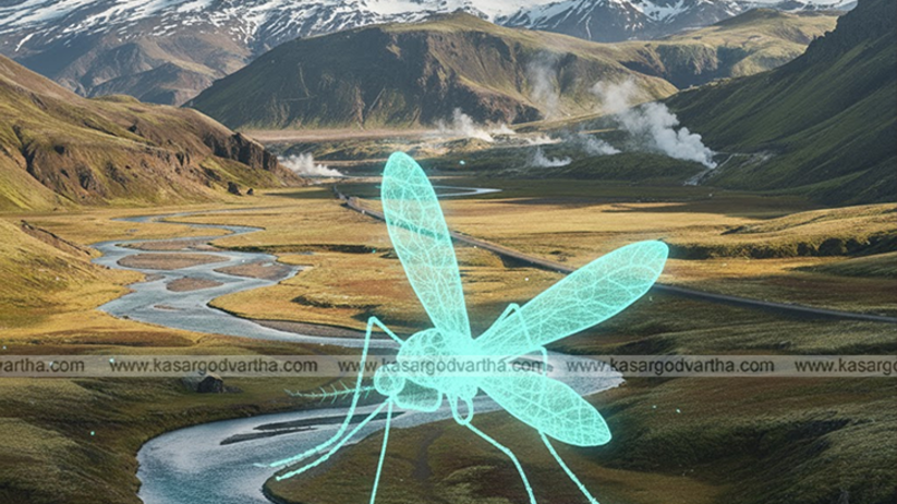 Beautiful, cold, and mosquito-free landscape of Iceland