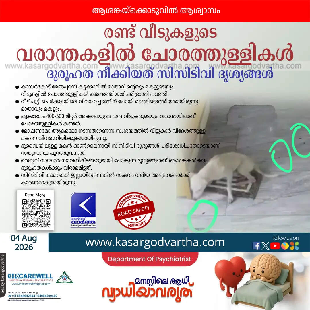 blood drops house verandas melparamba kasaragod stray dog