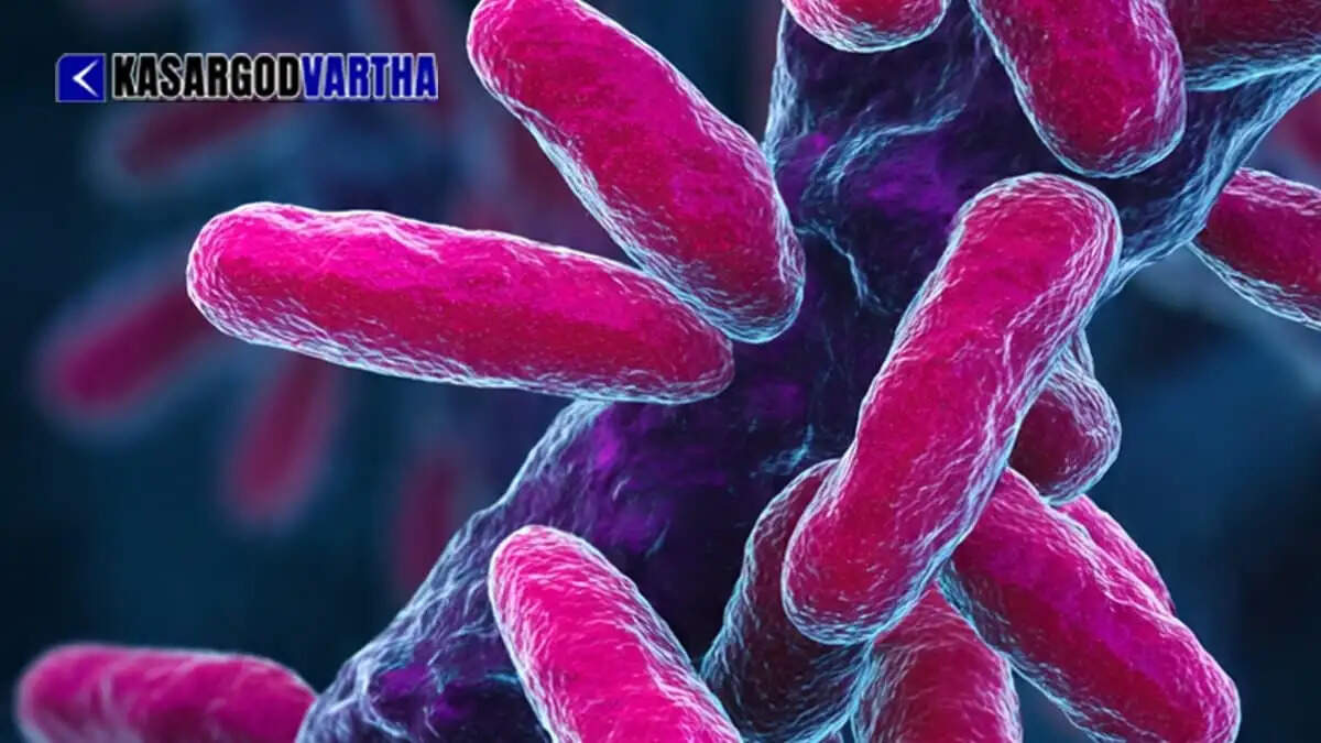 Image Representing Shigella bacterial infection in Kerala: Kasaragod DMO issues urgent public health safety guidelines.