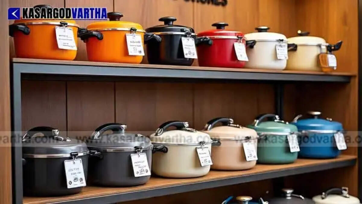  Image Representing Induction Cooker Market Booms Amid LPG Shortage Fears