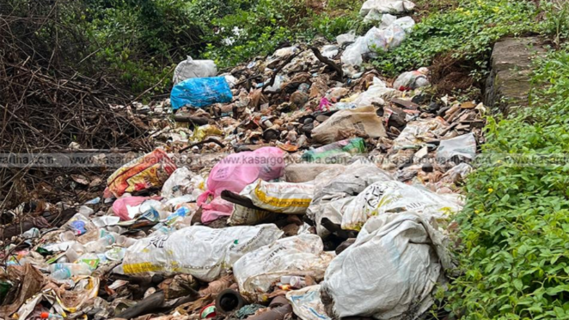 Large pile of garbage dumped near Mogral river