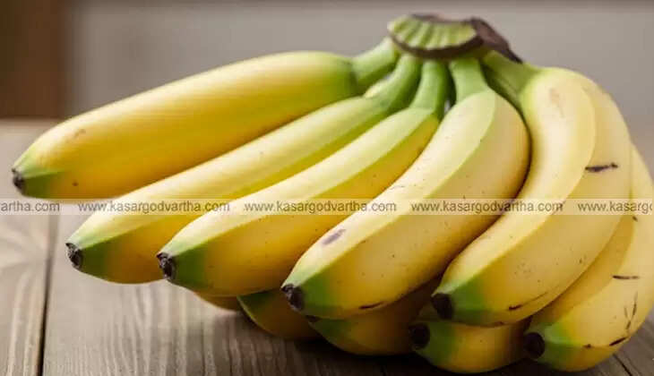 A bunch of bananas, ripe and unripe, next to a person checking their blood sugar.