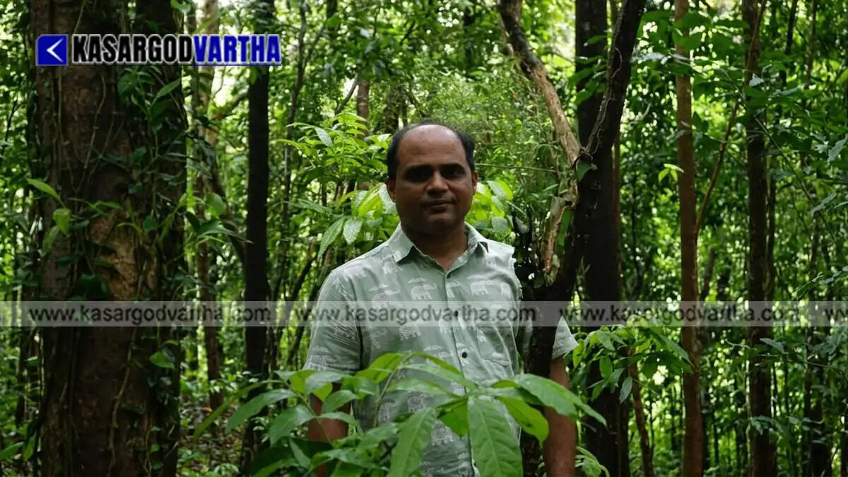  Conceptual image representing Venkataramana Bhat surrounded by the lush green forest he preserves in Kasaragod.