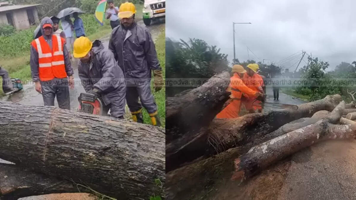 Strong Winds Safety Measures in Kerala