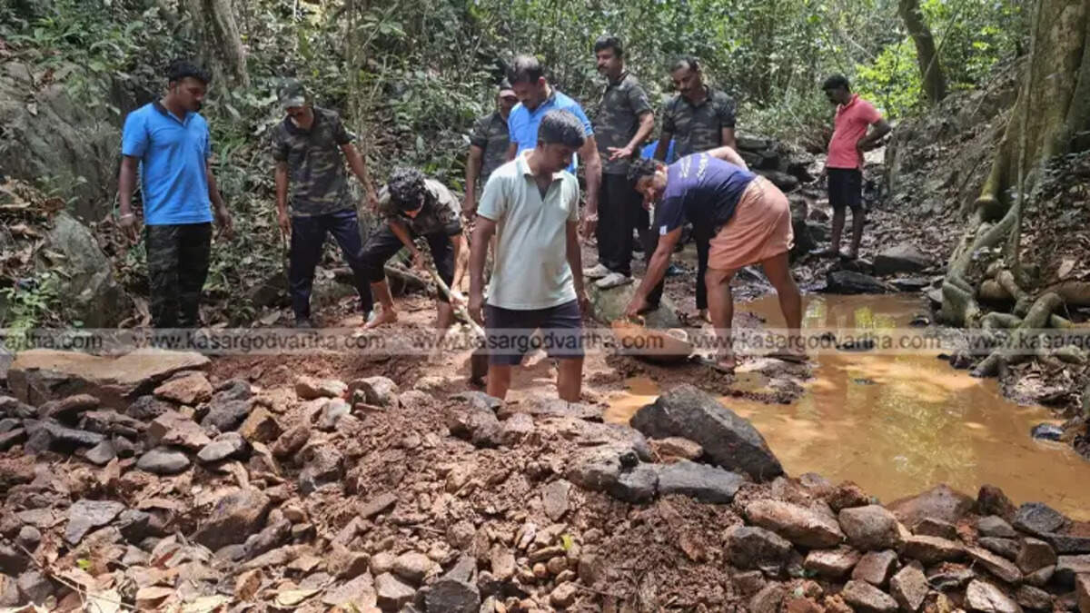 Media personnel constructing a dam in the forest in Kasargod to provide water for wildlife.