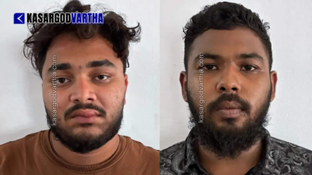 2 arrested in Mangalore for stealing cow in Badiyadka; Xylo car seized