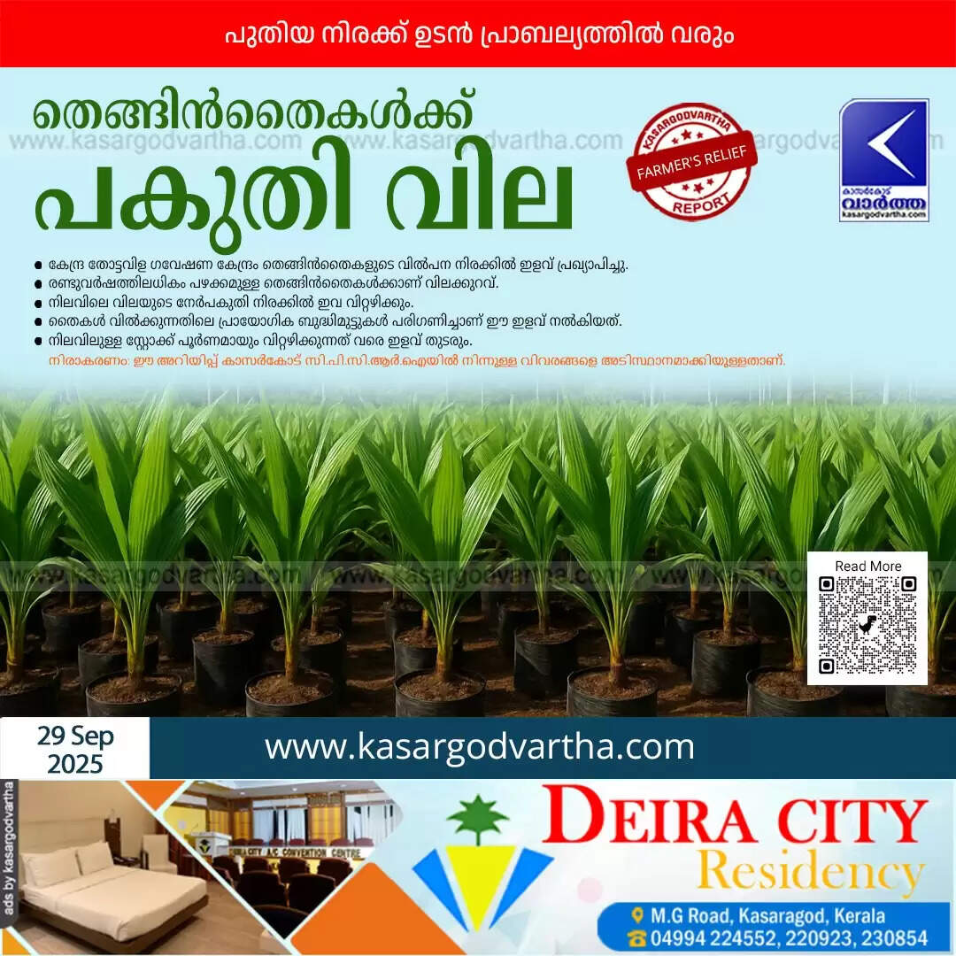 cpcri kasaragod coconut seedlings half price sale farmers r