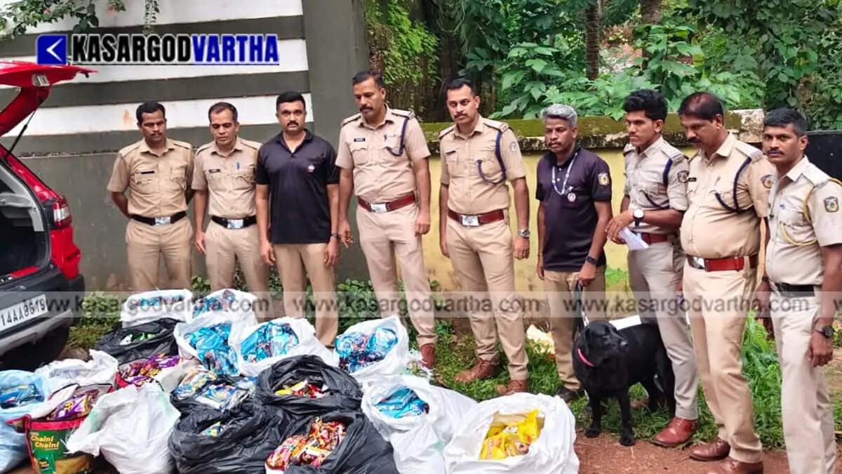Operation Toofan: Vidyanagar Police seize 21,873 packets of banned tobacco near Patla School; one arrested.