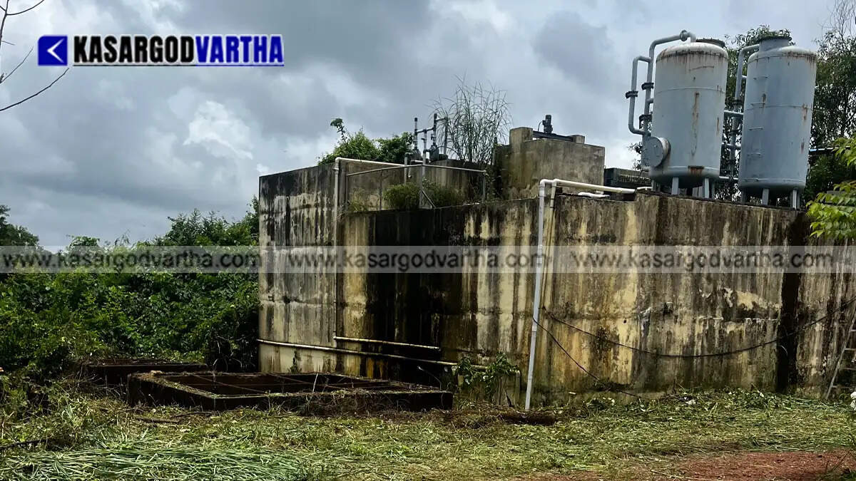 Representational image reflecting water pollution inspection by local representatives in Kasaragod