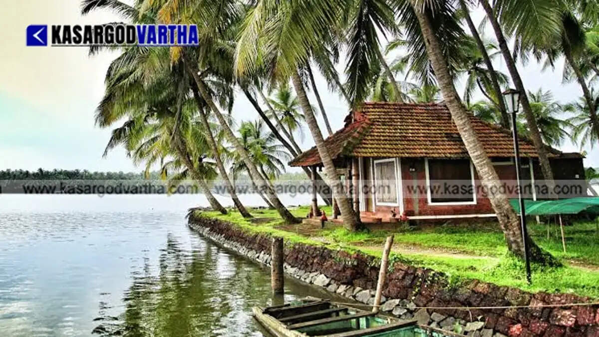 Vigilance report on illegal backwater encroachment and CRZ violations in Padanna remains pending at Directorate without action.