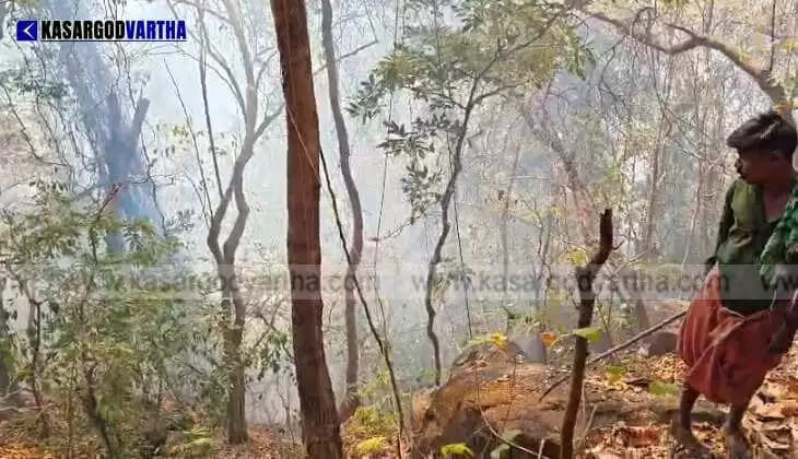 Massive Fire in Konnakkad Kammadi Forest