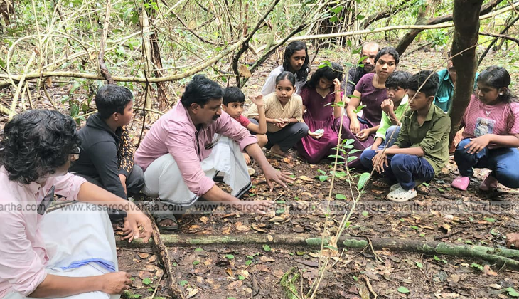 Children observing and learning about the rare Oorilathamar plant at Idayilekkad Kav in Kasaragod.